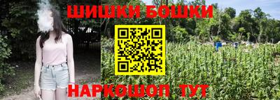 МДПВ Гагарин