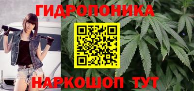 МДПВ Гагарин