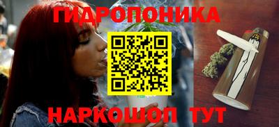 a pvp Гатчина