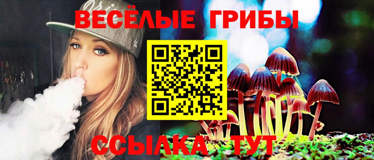 Биробиджан  Псилоцибиновые грибы Psilocybine cubensis  Вход с VPN  Псилоцибиновые грибы Psilocybe 